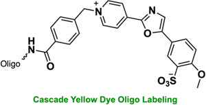 Bio-Synthesis Inc. Oligo Structure